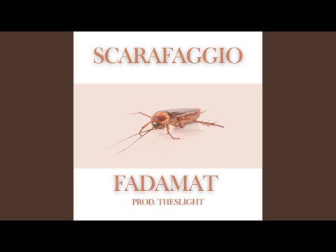 Scarafaggio