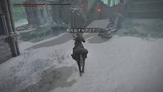 [完全初見]ノエデンリング　その20