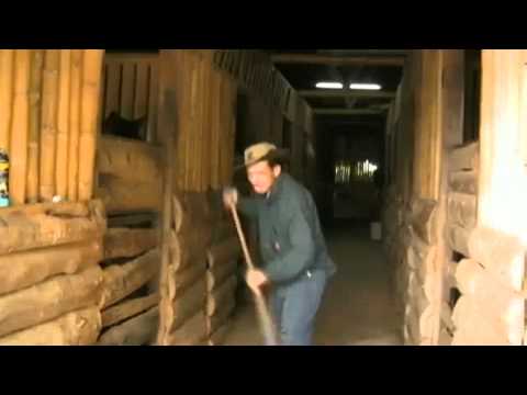 LA MAMADORA EL TROVADOR PICANTE Y LOS ASES DE LA PARRANDA