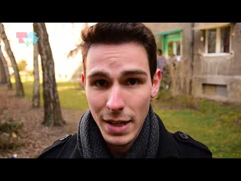 Trivijator: Slastice