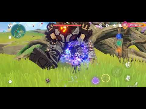 Genshin Impact - Raiden Shogun & Albedo Vs Ruin Guard