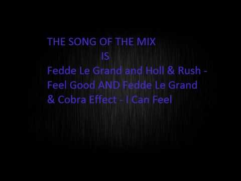 Fedde Le Grand and Holl & Rush - Feel Good AND Fedde Le Grand & Cobra Effect - I Can Feel (mix)