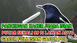 Download lagu PANCINGAN KACER JUARA NASIONAL •FULL ISIAN MEWAH• FULL TEMBAKAN || TEMBAK KASAR || 11 JAM NONSTOP mp3 Download lagu PANCINGAN KACER JUARA NASIONAL •FULL ISIAN MEWAH• FULL TEMBAKAN || TEMBAK KASAR || 11 JAM NONSTOP mp3