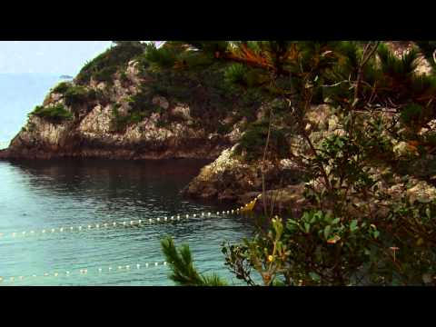 The Cove (2009) Trailer