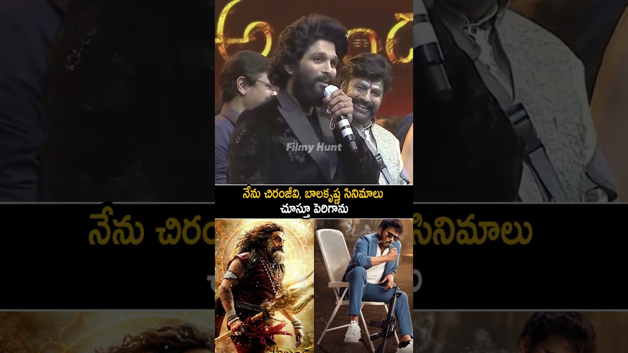 చిరంజీవి, బాలకృష్ణ సినిమాలు చూస్తూ Allu Arjun Comments On Chiranjeevi | Bala Krishna | Akhanda2 | FH