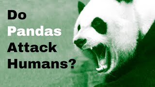 Do Pandas Attack Humans
