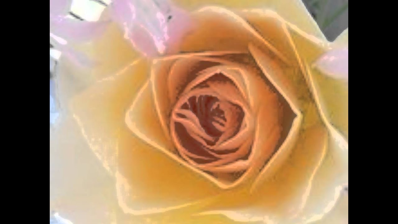 Laga Nazariya Ka Dhakka Lyrics  | Naam Kya Hai | Amitabh Bachchan Corporation Ltd | Sadhana Sargam, Vinod Rathod | Anand Shrivastav, Milind Shrivastav