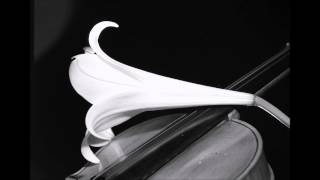 POPCORNOLDIES - BEN E KING -  AUFWIEDERSEHEN MY DEAR