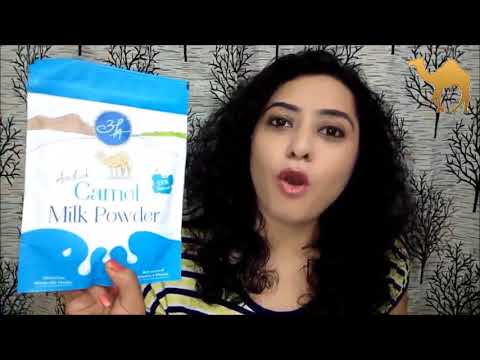 Benefits of Camel Milk Powder