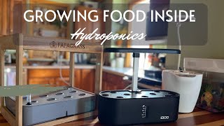 Growing Food Inside With Hydroponics Systems | EverCrest