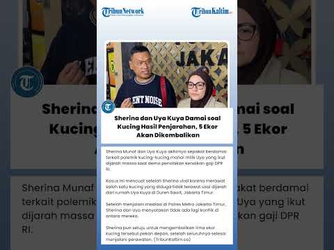 Sherina dan Uya Kuya Damai soal Kucing Hasil Penjarahan, 5 Ekor Akan Dikembalikan