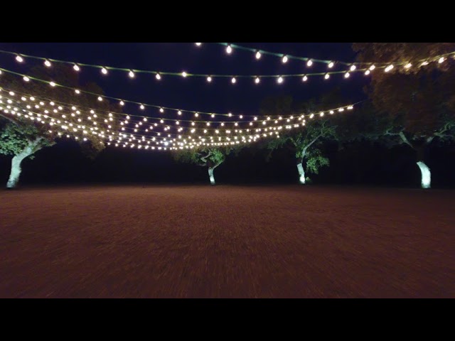 Vídeo relacionado con HOWAF 30Piezas Nota Musical Colgando remolinos Guirnalda de Techo serpentinas para conciertos, Bodas, Bebés Infantiles Niños Cumpleaños Fiesta Decoración Suministros
