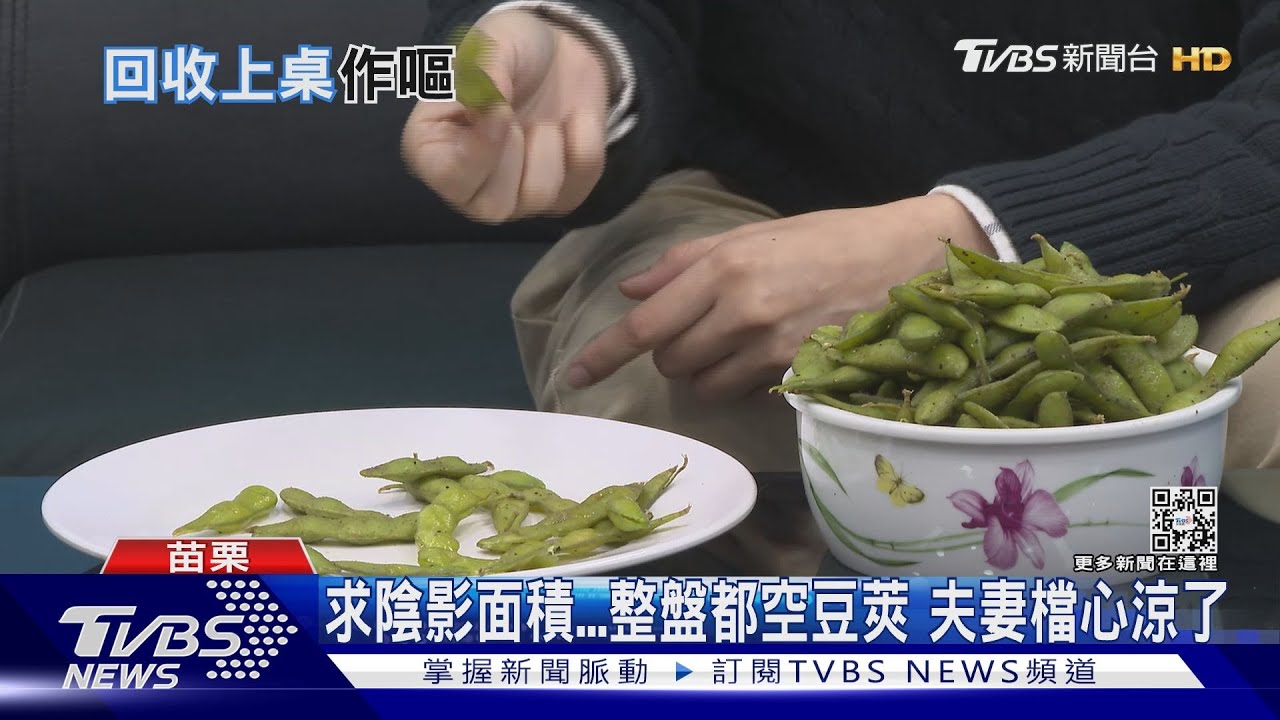 韓式餐廳小菜「嗑過的毛豆」　誤端給客人吃