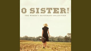 If Wishes Were Horses