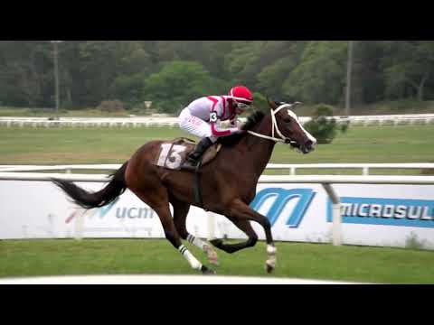 221113 c07 NOCHE DEL SUR