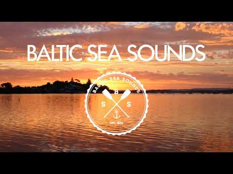 Stupid Goldfish ft. Emelie Cyreus - No Better Love (LIZOT Remix)