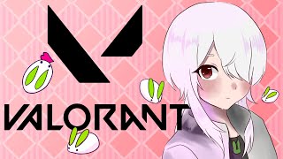 【Valoranto】カスタム配信