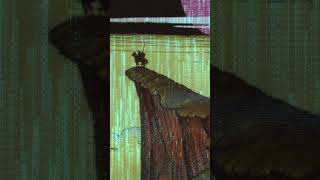 Hawkwind with Mike Moorcock - Warriors #hawkwind #mikemoorcock #davebrock  #music