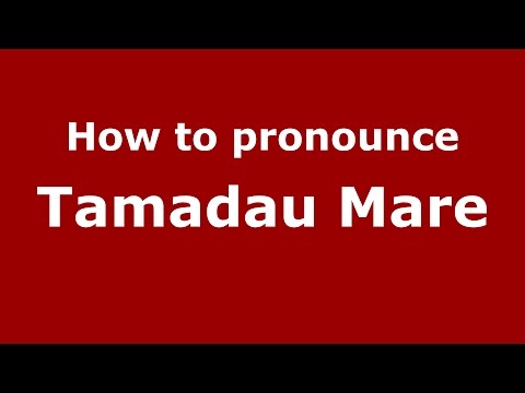 How to pronounce Tamadau Mare (Romanian/Romania)  - PronounceNames.com