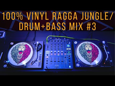 100% Vinyl - Ragga Jungle/Drum & Bass Mix (#3) - 2019