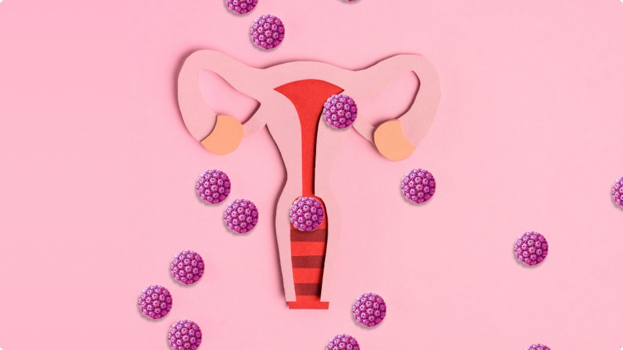 Тина Канделакидің порно сайттары