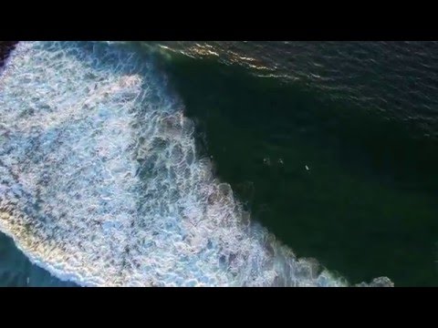 Redondo Breakwall surfers