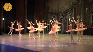 Akademi Sanat Merkezi - Bale " J. Strauss "