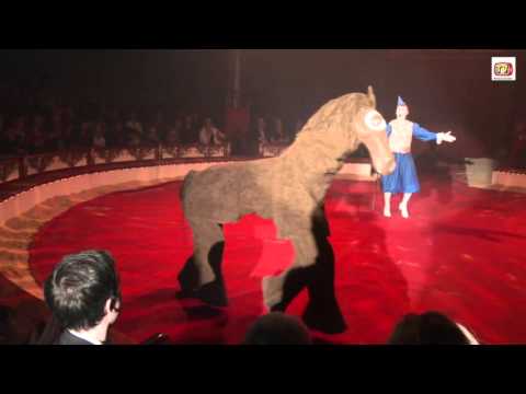 40 Jahre Circus Roncalli