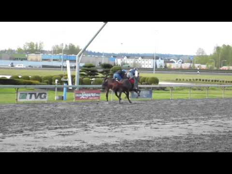 Harbor Wind Works 1/4 Mile