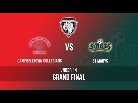 Grand Final: Campbelltown Collegians v St Marys Eaglevale - Under 14
