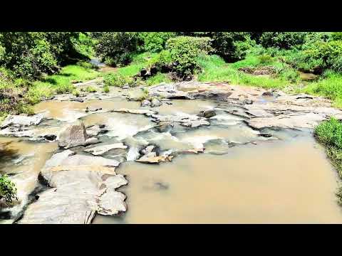 5,12 alqueires, município de Mairipotaba, R$2.980.000