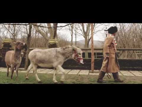 Baffone - Giovanni Romano - Official Video HD
