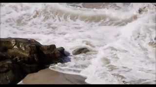 Water for the Soul Music Video by Dyan Garris (Official Video)