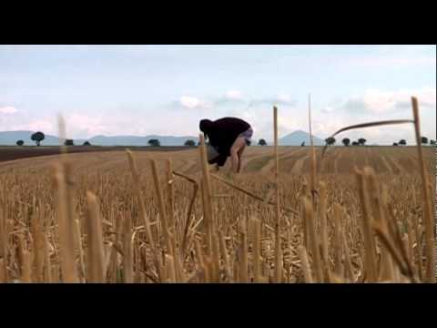 Král Doubek - Folkový sekáč