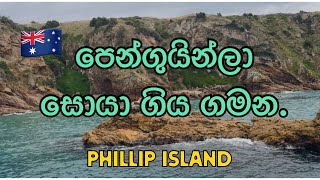 🇦🇺 පෙන්ගුයින්ලා සොයා ගිය ගමන|⛴️ Cape woolamai morning cruise|vlog|Sinhala|🌊