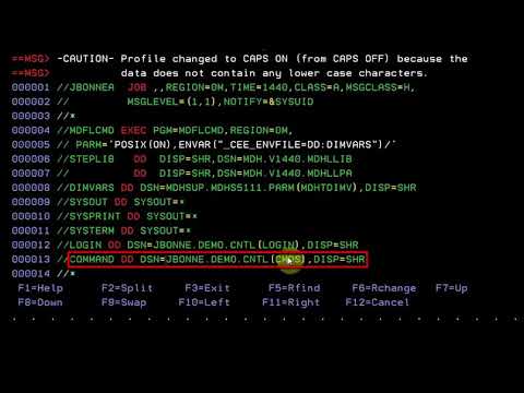 How to use the zOS batch client