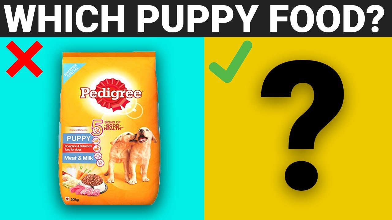 Best Dog Food For Puppies in India | Dog Food 2020 Review