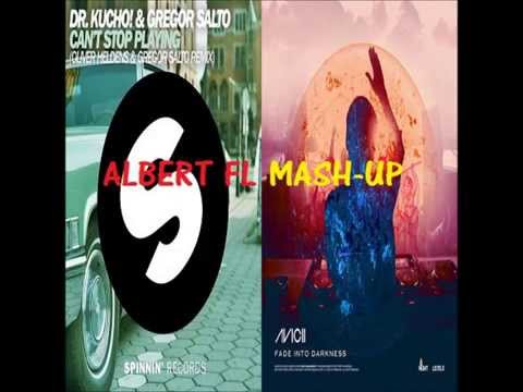 Oliver Heldens vs Avicii - Can't Stop Playing vs Fade Into Darkness (Albert FL Mash-Up)