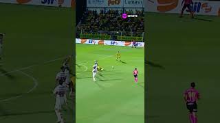 O MIRASSOL COLOCOU O SÃO PAULO NA RODA E FEZ ESSE GOL AÍ! #shorts