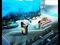 BLUE DEPARTURES - Funeral Chapel & Memorial ...