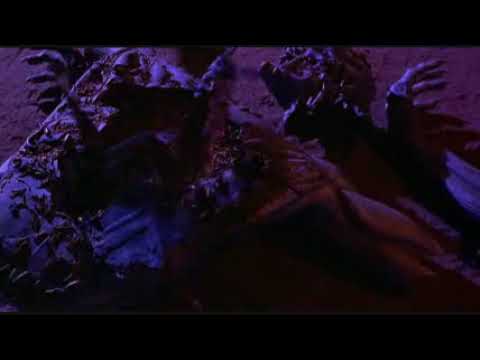 Robin Shou Stomps Creature in Mortal Kombat