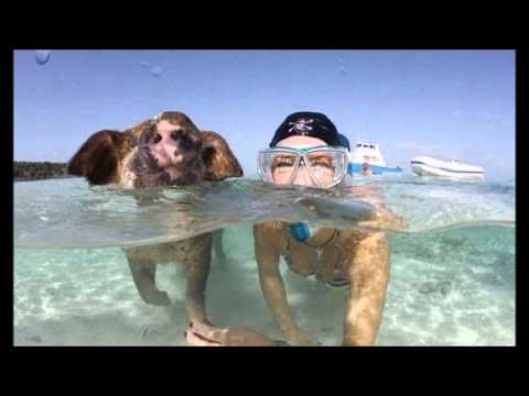 Sanna Hartfield - something