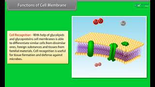 CBSE Class 11 Biology Chapter 8, Cell - The Unit of Life, Part -3