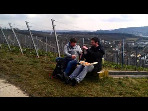 TW 2 Präsentiert Grünen Silvaner & Blauen Silvaner