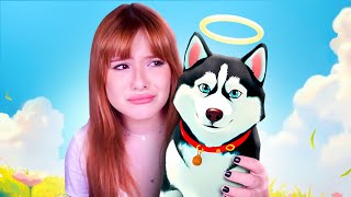 ESSE CACHORRINHO ME SALVOU, MAS ELE SE FOI...