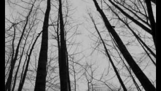 laughter and forgetting