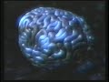 Human Brain Montage - Mars Lasar - The Eleventh Hour (1994)