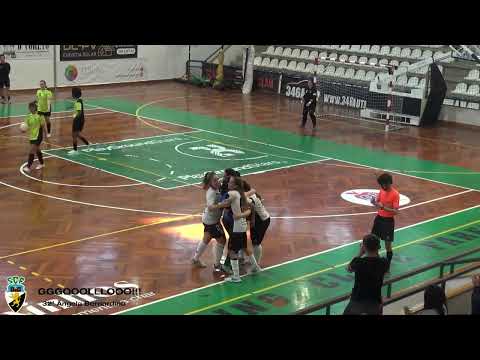 Resumo, golos e a festa - SC Farense x CD Checul (Campeonato Distrital 2023/2024 14ª Jorn...