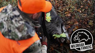 Drückjagd in Tschechien [#3] - Treiben 5/6 (Hunt on Demand Free Episode)