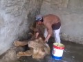 Amazing Lion Trainer